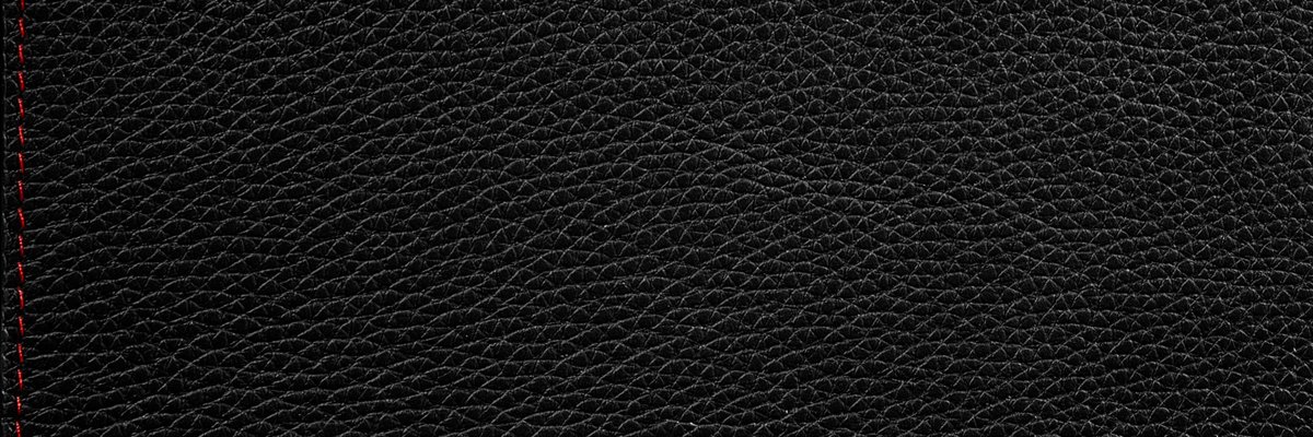 HUGO 2 2GO LEATHER CASE